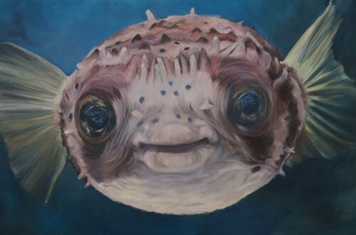 Puffed Up de Dominika Brejchová, Pintura a la venta en Singulart