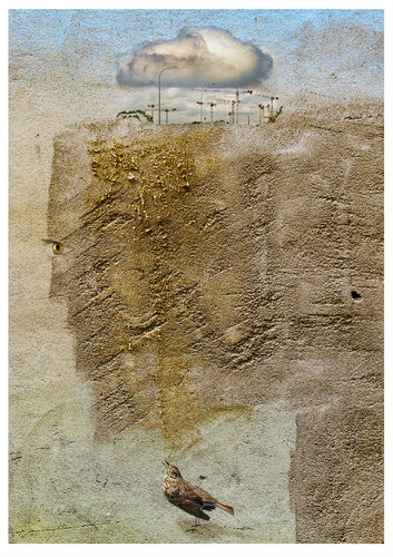 Thrush & Ten Cranes par Hugh Burden, Photographie en vente sur Singulart