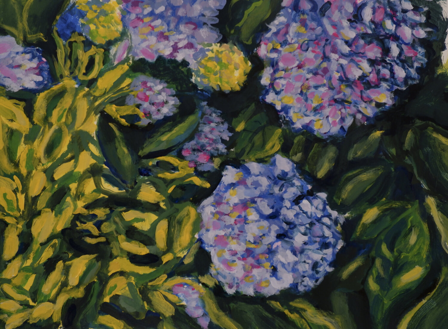 Hydrangea Cornocopia Mitchell Rodbell Originalgemälde zu verkaufen