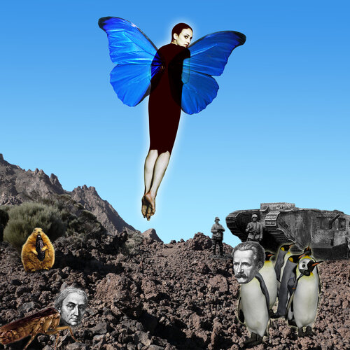 Vicious Circle di Harald Hund, Digitale in vendita su Singulart
