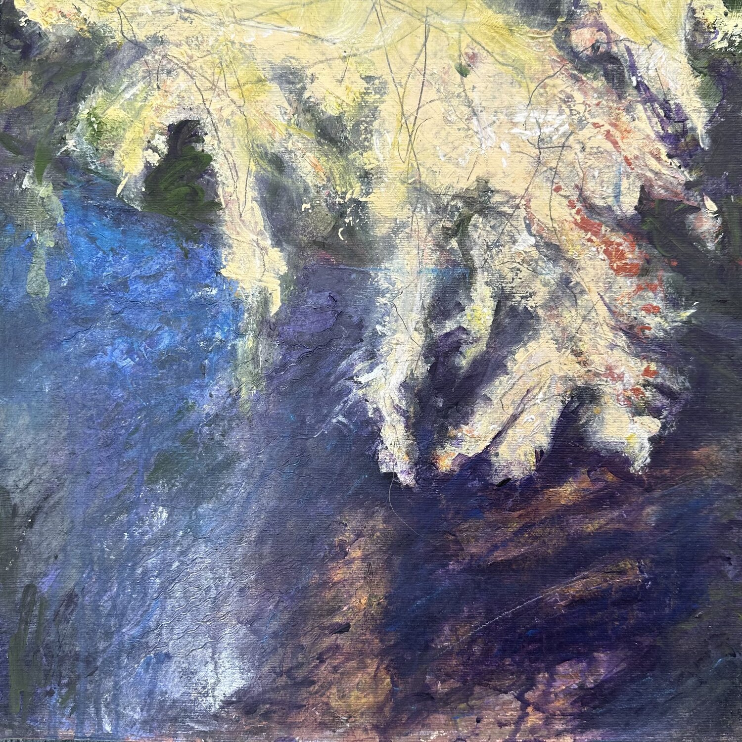 Through a bough darkly Maureen Connolly Œuvre sur papier à vendre
