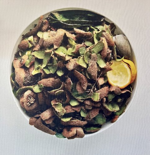 Oliwoodcompost/winter by Maria Mikloskova, Photography for Sale on Singulart