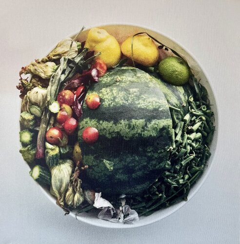 Oliwoodcompost/summer by Maria Mikloskova, Photography for Sale on Singulart