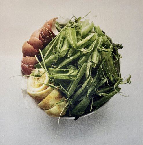 Oliwoodcompost/spring by Maria Mikloskova, Photography for Sale on Singulart