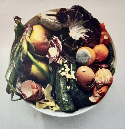 Oliwoodcompost/winter by Maria Mikloskova, Photography for Sale on Singulart