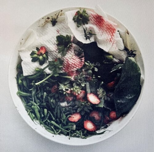 Oliwoodcompost/spring by Maria Mikloskova, Photography for Sale on Singulart
