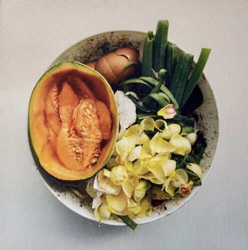 Oliwoodcompost/summer by Maria Mikloskova, Photography for Sale on Singulart