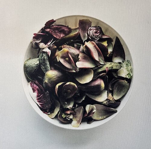 Oliwoodcompost/autumn by Maria Mikloskova, Photography for Sale on Singulart