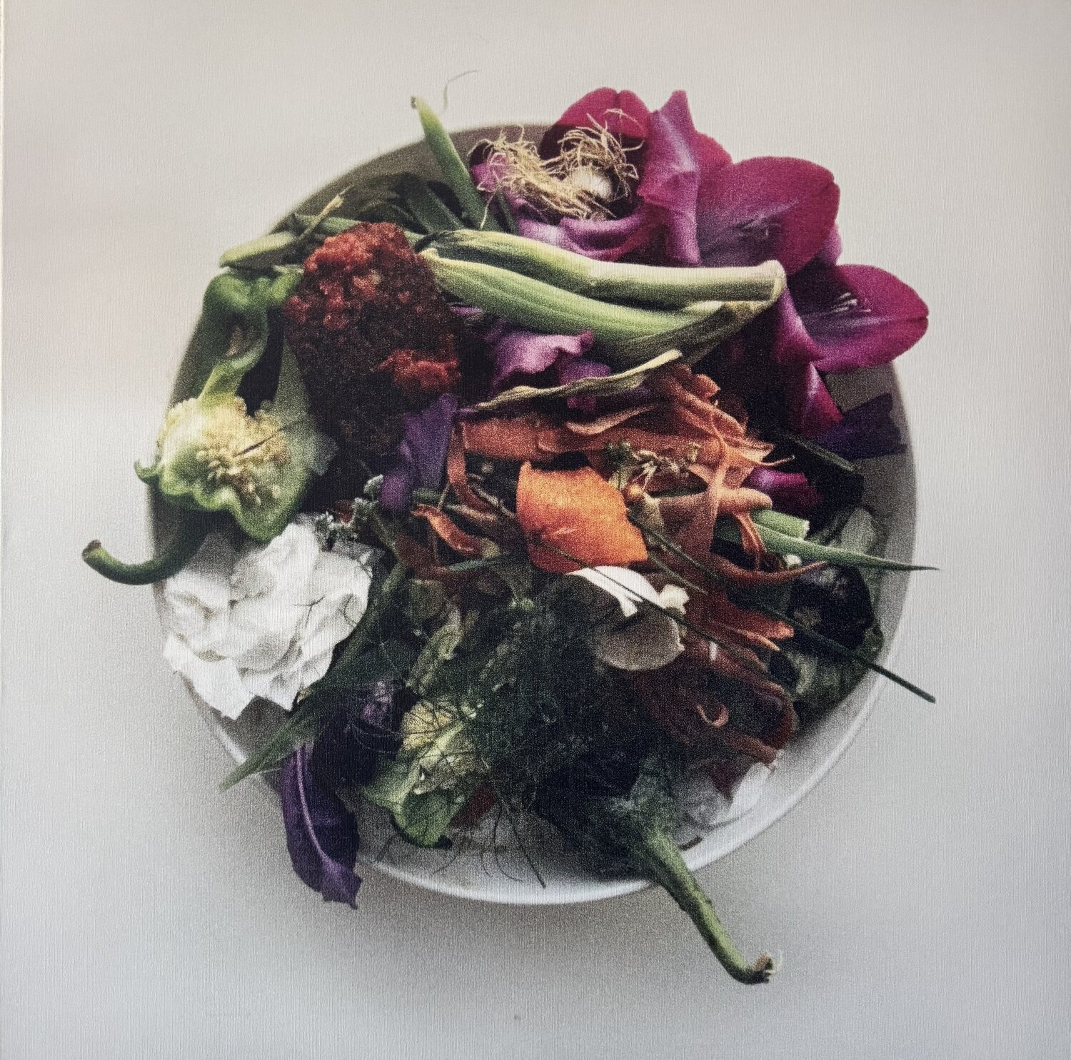Oliwoodcompost/summer Maria Mikloskova Fotografie zu verkaufen