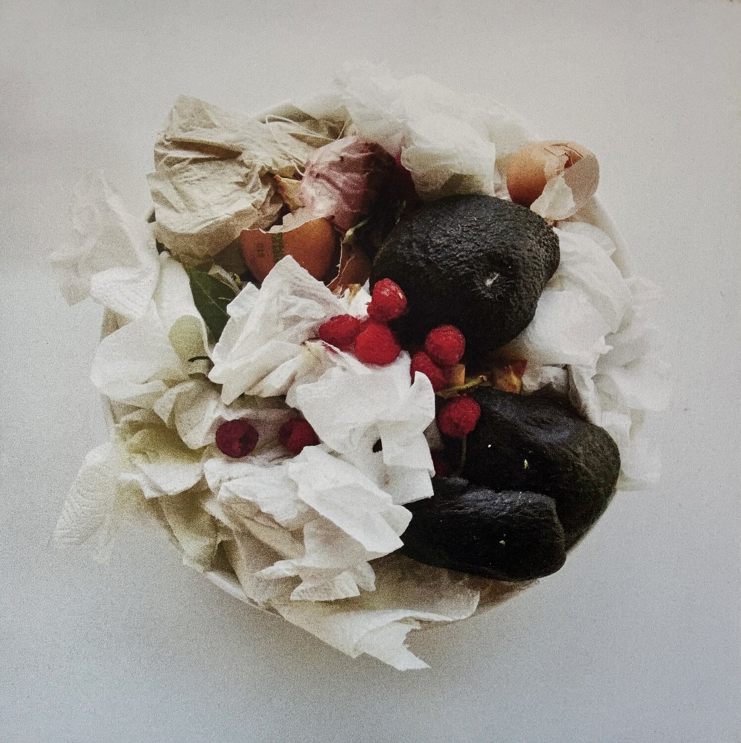 Oliwoodcompost/autumn Maria Mikloskova Photography for sale
