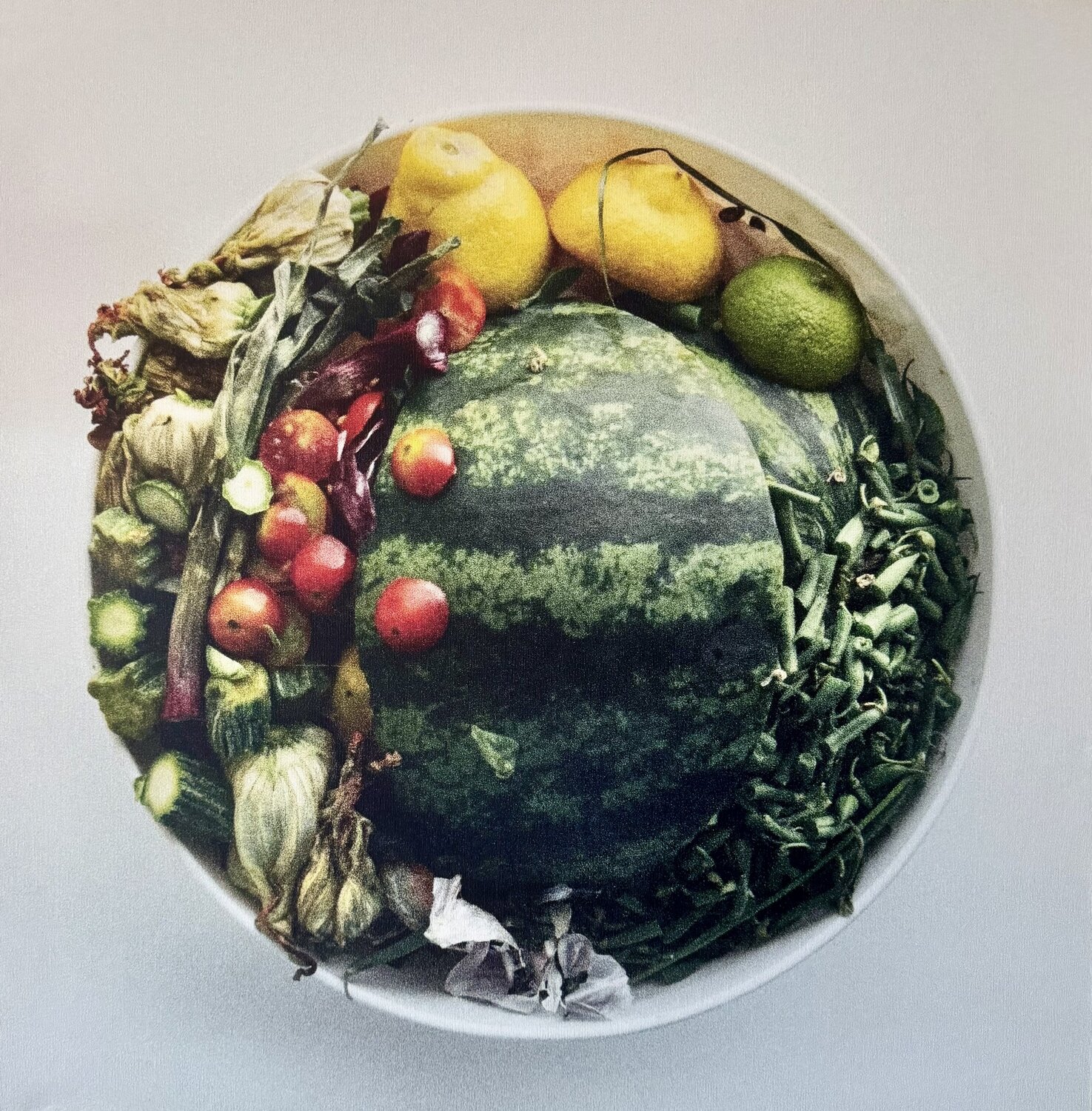 Oliwoodcompost/summer Maria Mikloskova Fotografía en venta