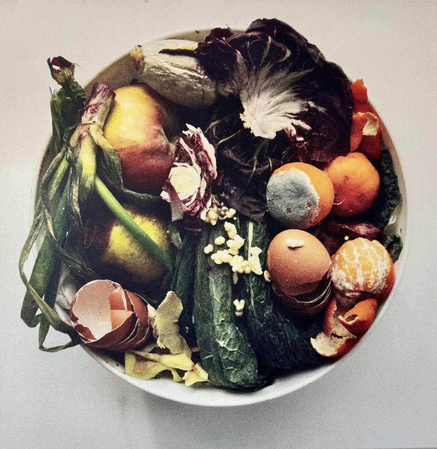 Oliwoodcompost/winter Maria Mikloskova Fotografía en venta
