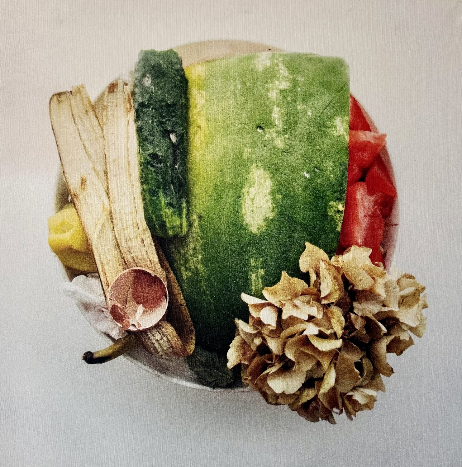 Oliwoodcompost/summer Maria Mikloskova Fotografía en venta