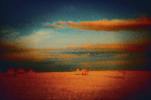 Carnaval au soleil 2 by GERARD DI LUCCIO, Photography for Sale on Singulart