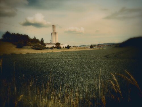 Blé vert, silo de GERARD DI LUCCIO, Fotografía a la venta en Singulart
