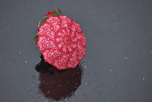 Dance in the rain de GERARD DI LUCCIO, Fotografía a la venta en Singulart
