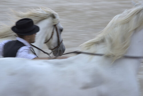 Fantastic ride 2 di GERARD DI LUCCIO, Fotografia in vendita su Singulart