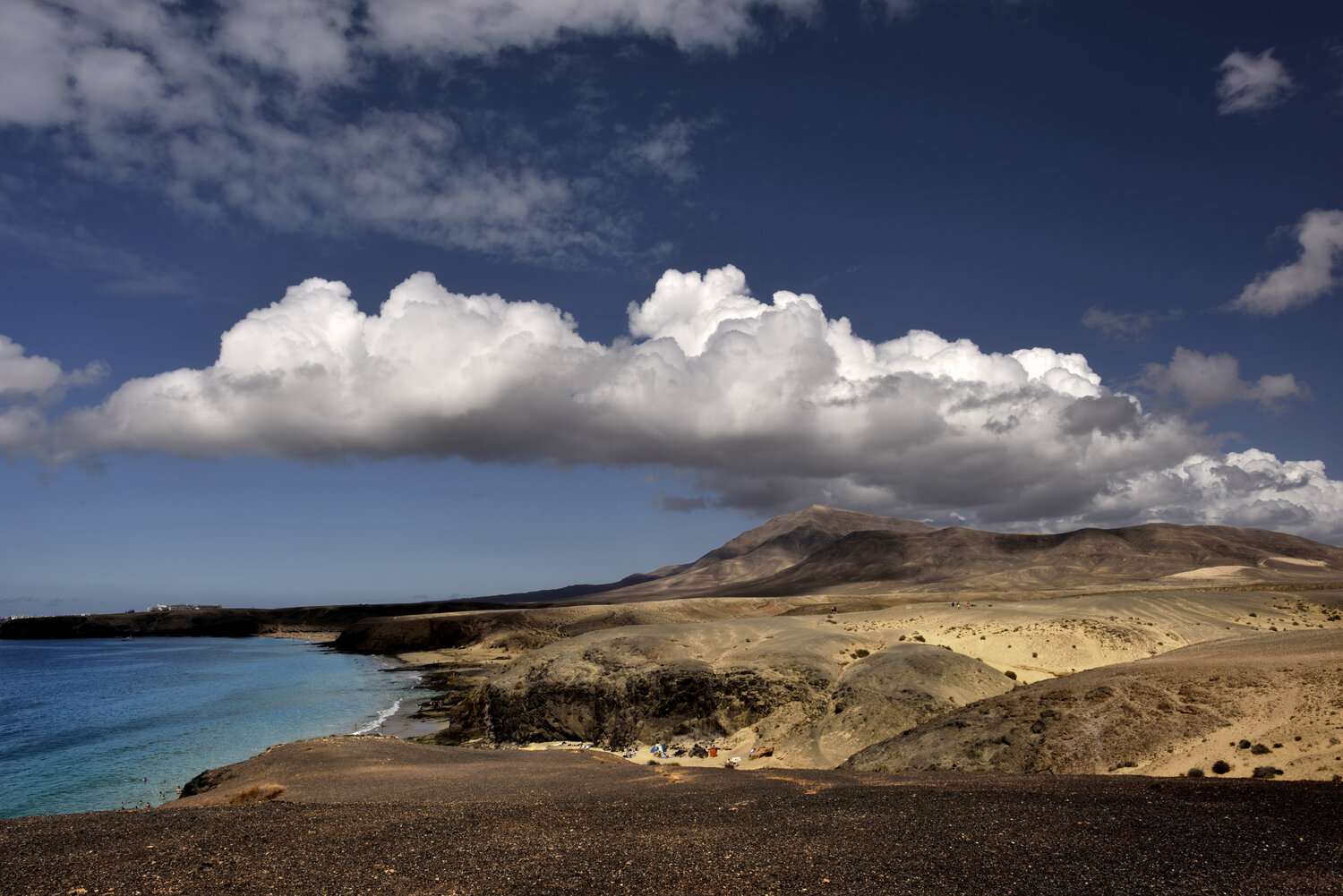 Behind papagayo's back GERARD DI LUCCIO Fotografie zu verkaufen