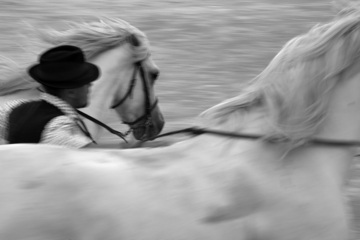 Fantastic ride 1 GERARD DI LUCCIO Fotografía en venta