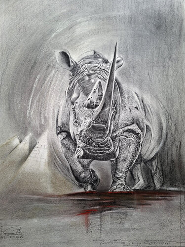 Cerathoterium Simmum Cottoni by Gier Gier, Drawing for Sale on Singulart