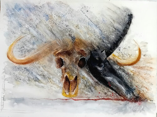 Acynonyx Jubatus et crâne de Sincerus Caffer by Gier Gier, Drawing for Sale on Singulart