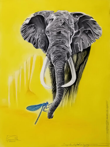 Eléphant, demoiselle et paysage urbain. by Gier Gier, Drawing for Sale on Singulart