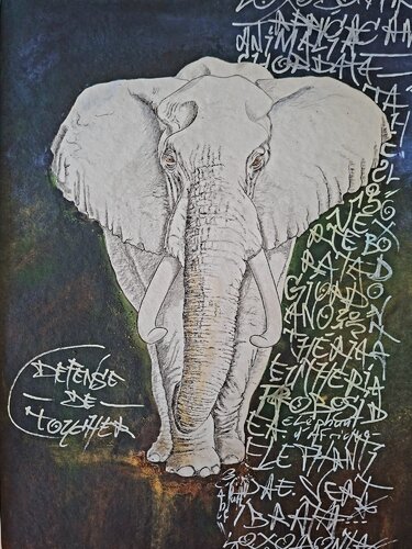 Loxodonta africana. Défense de toucher by Gier Gier, Work on Paper for Sale on Singulart