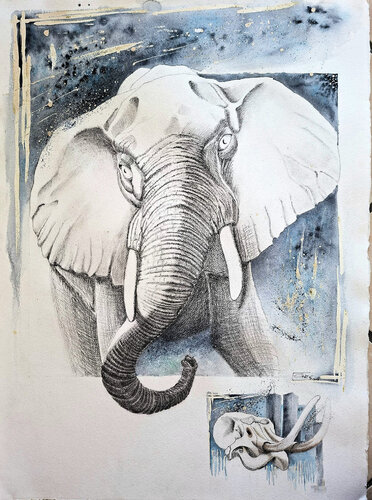 Loxodonta africana N°3 di Gier Gier, Disegno in vendita su Singulart