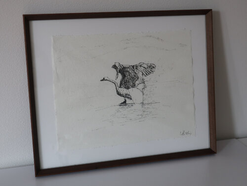 Trumpeter Swan par Crystal Billing, Dessin en vente sur Singulart