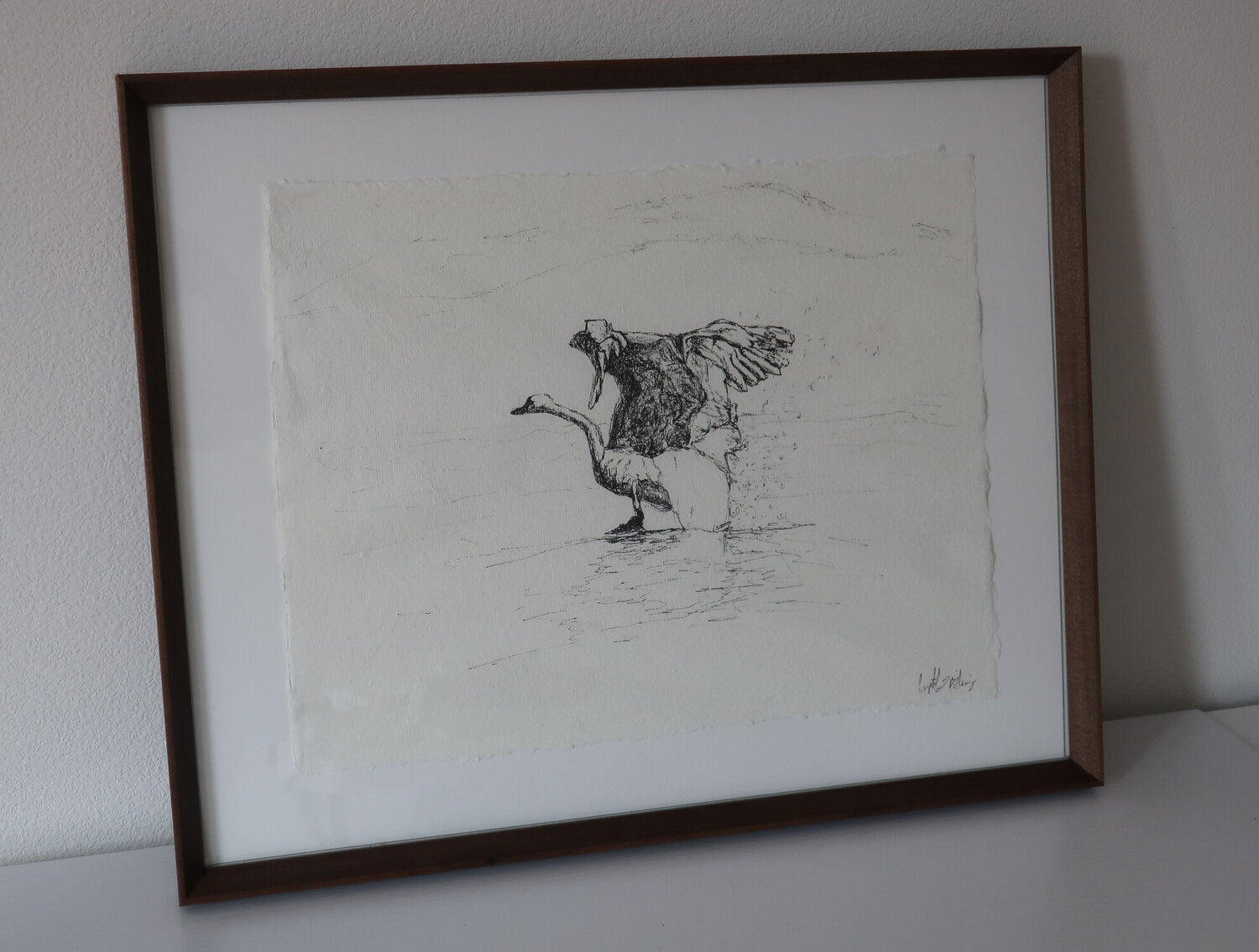 Trumpeter Swan Crystal Billing Dibujo en venta