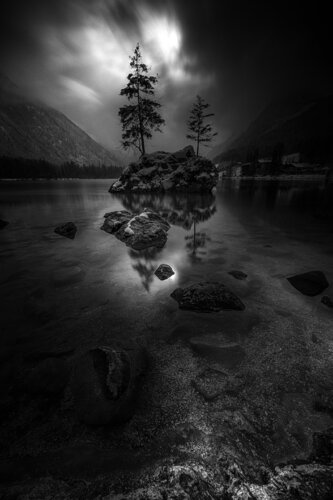 NATURE AT ITS BEST by Andrea Rosin, Photography for Sale on Singulart