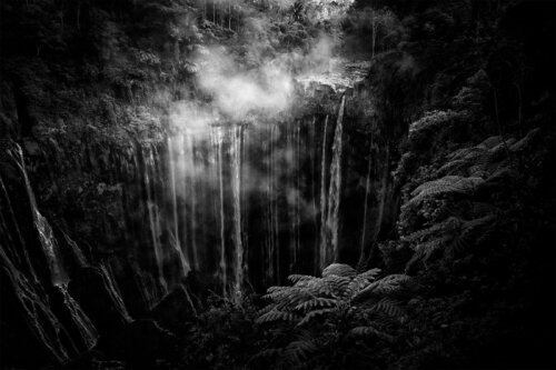 Light into Darkness by Andrea Rosin, Photography for Sale on Singulart