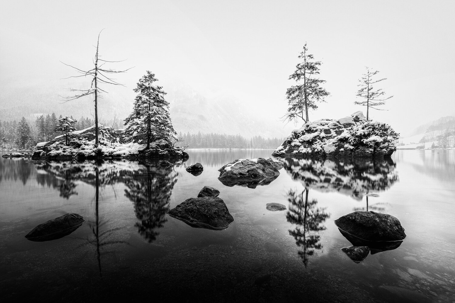 COOL SILENCE Andrea Rosin Fotografie zu verkaufen