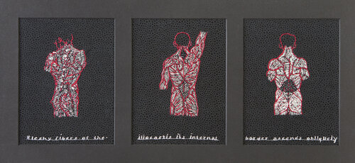 Fleshy Fibers of the Ileocastis von Sally Wagley, Textil kaufen auf Singulart