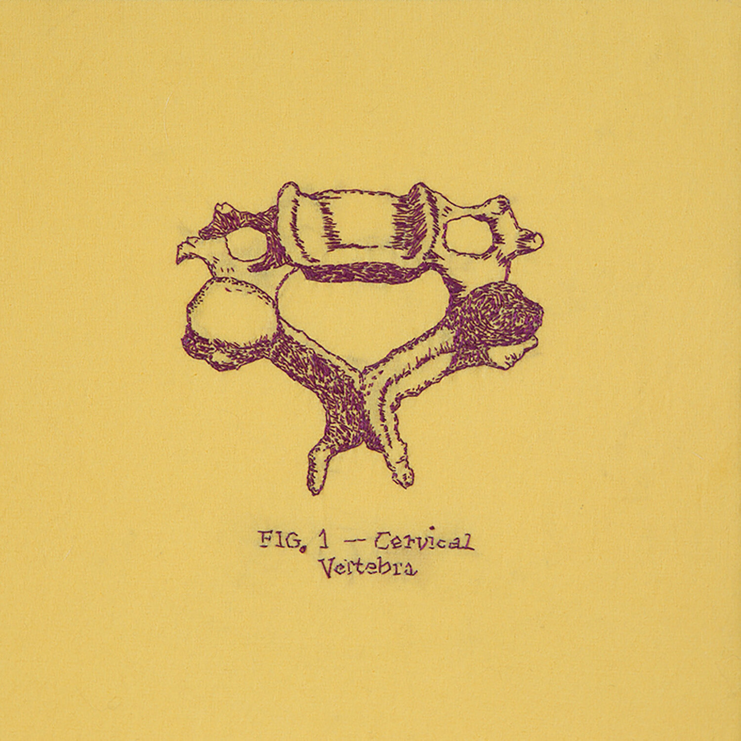 Cervical Vertebra Sally Wagley Textil zu verkaufen