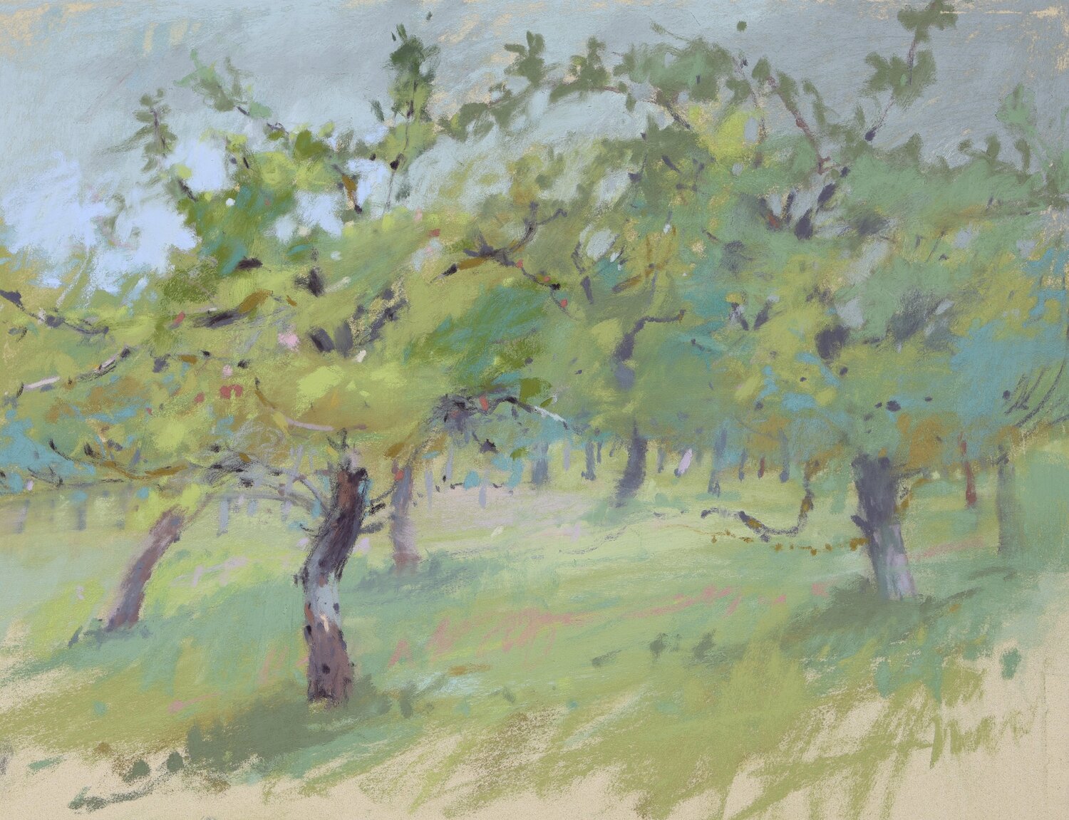 Apple orchard Victoria Ramanovich Drawing for sale