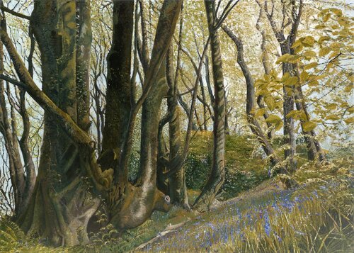 Woodland Bathing von Chris Edwards, Malerei kaufen auf Singulart