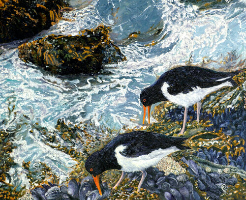 Oystercatchers by a Rockpool von Chris Edwards, Malerei kaufen auf Singulart