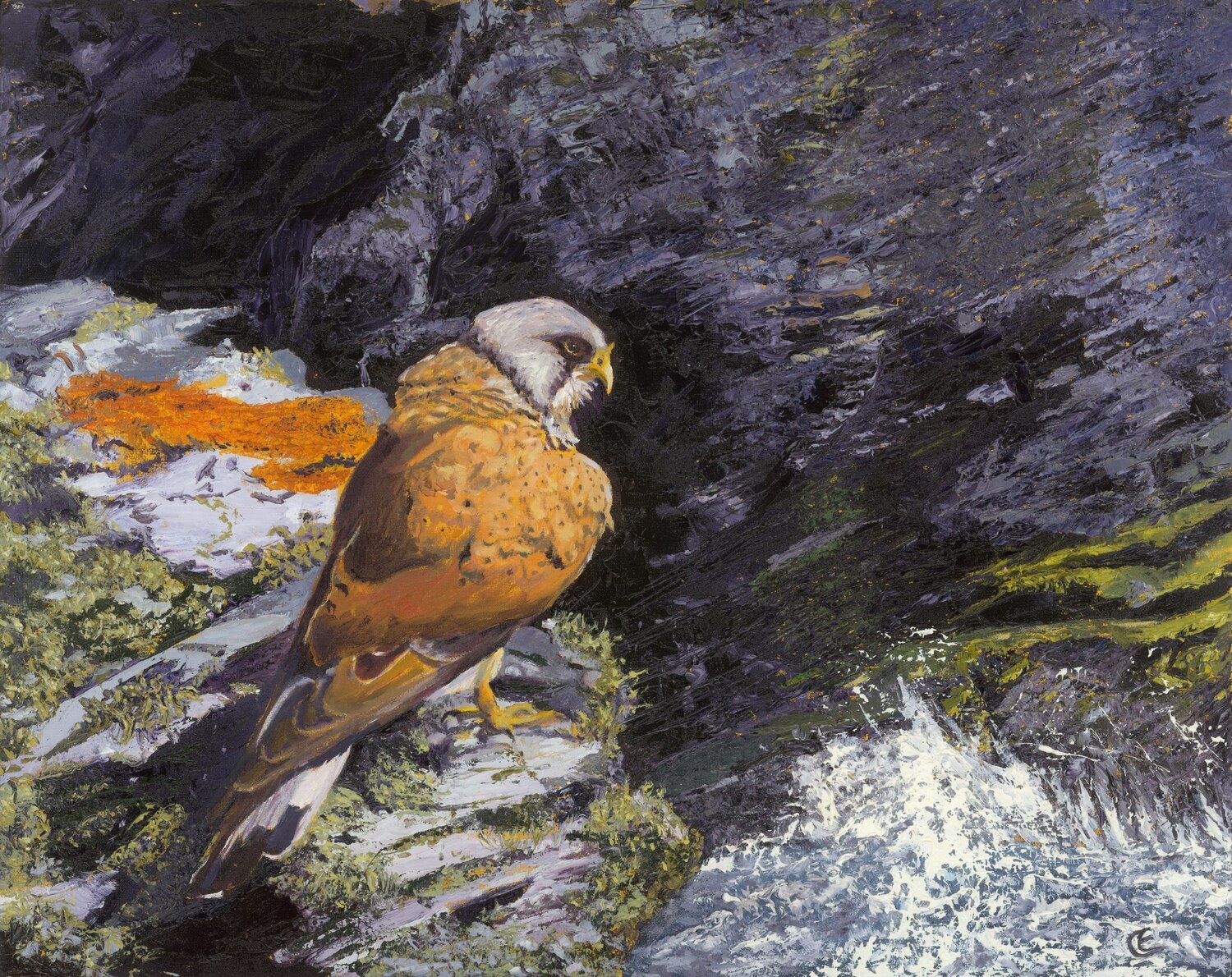 Time to Preen, Coastguard Station, Boscastle Chris Edwards Origineel schilderij te koop