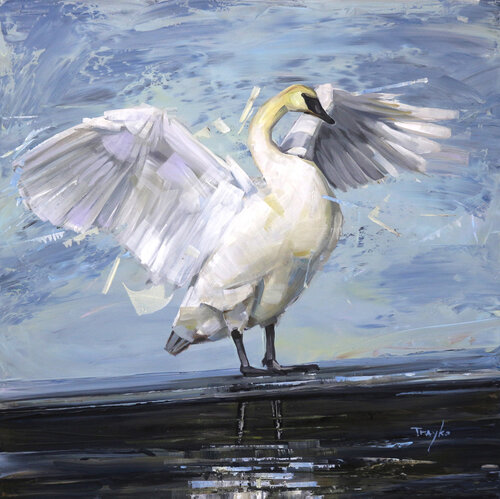 I Am Beautiful | Swan | Lake van Trayko Popov, Schilderij te koop op Singulart
