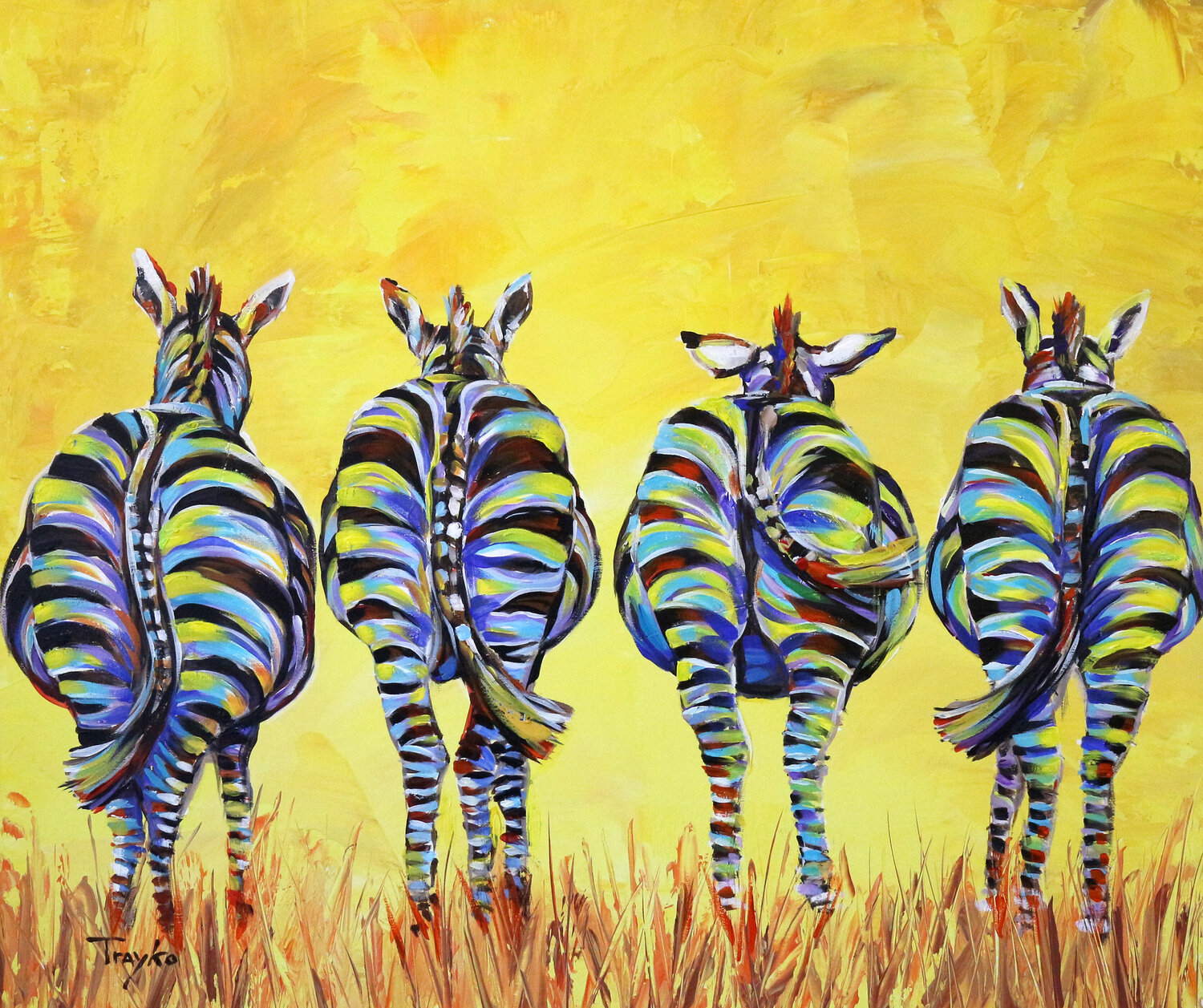Zebras | Africa | Wildlife Trayko Popov