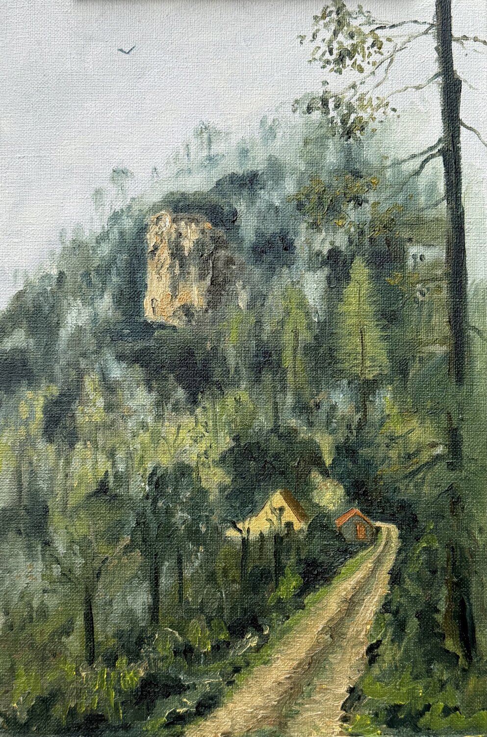Misty valley Karen Town Origineel schilderij te koop