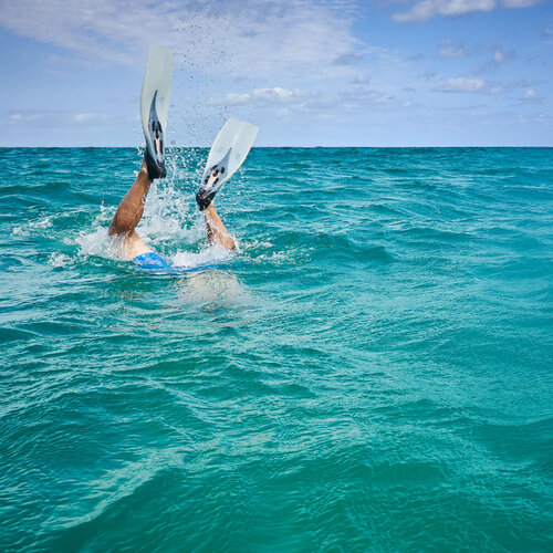 Into the Blue par Tom Hussey, Photographie en vente sur Singulart