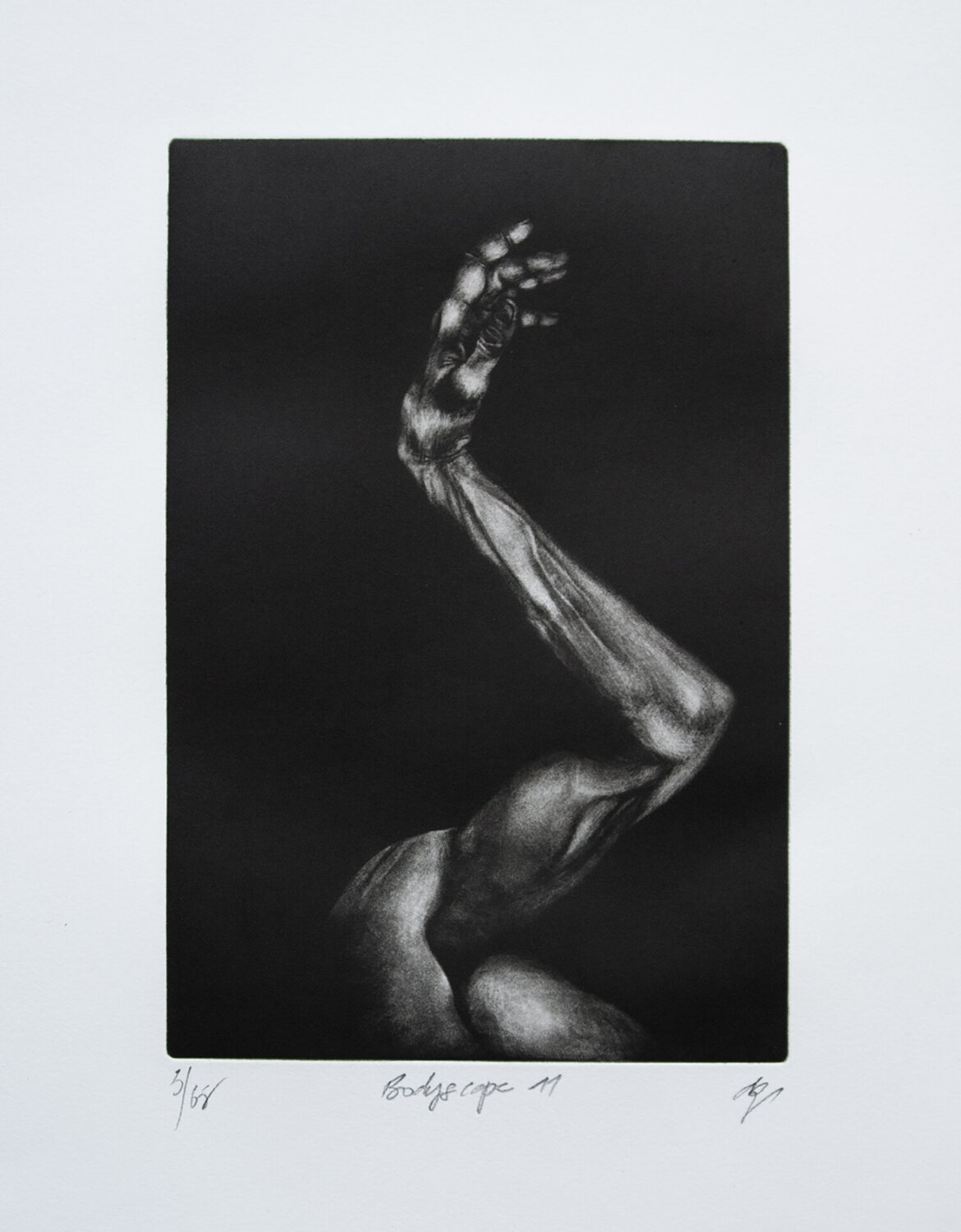 Bodyscape 11 Dominique Zeltzer Russell Print for sale