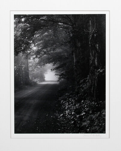Foggy Morn, Vermont de Thomas McCartney, Fotografía a la venta en Singulart
