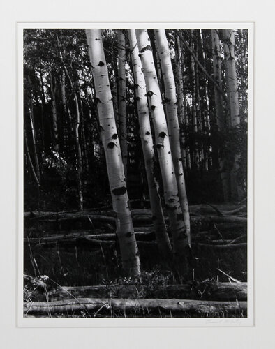 Aspen, Colorado de Thomas McCartney, Fotografía a la venta en Singulart