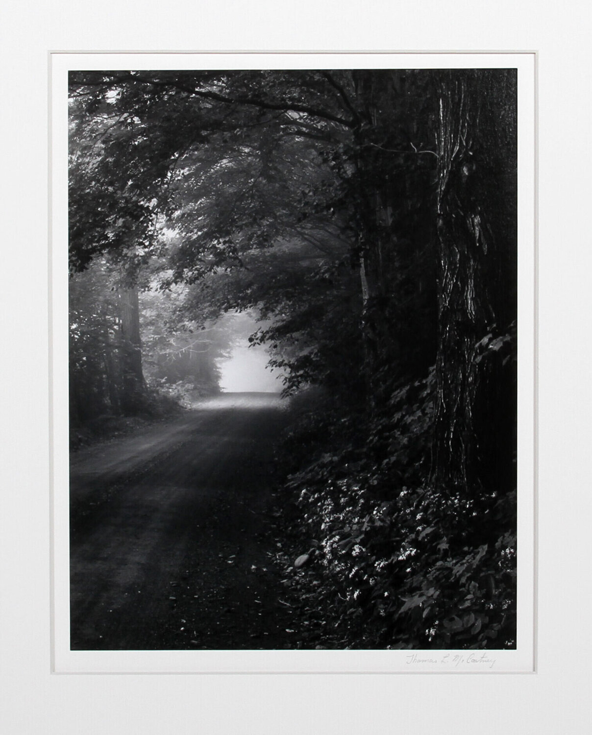 Foggy Morn, Vermont Thomas McCartney Fotografía en venta