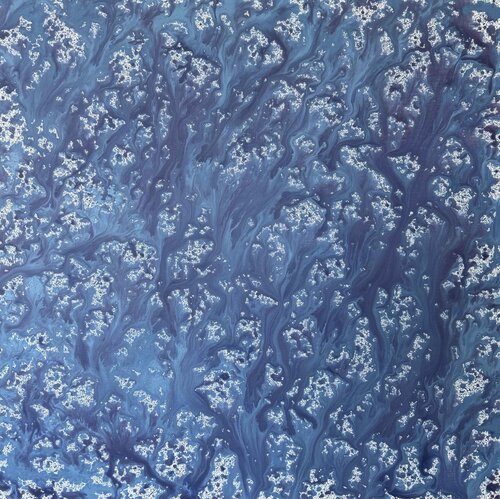 Coexistence by Sunyoung Kang, Painting for Sale on Singulart