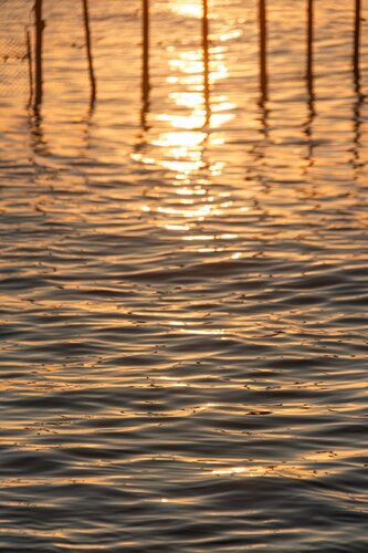Bahia Sun by AIRTON PIRES JUNIOR, Photography for Sale on Singulart