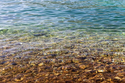 Colored Water by AIRTON PIRES JUNIOR, Photography for Sale on Singulart